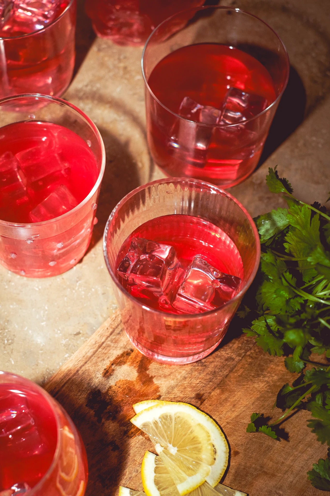 Lowcaly sugarfree fruit drink raspberry sorbet 10 x 1L